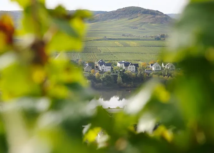 Wein & Gaestehaus Porten-Becker